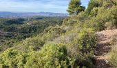 Tour Pfad Cheval-Blanc - Petrossi-Pradon-Bedoin-Cantian-17112023 - Photo 1