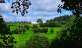 Randonnée Marche Bièvre - Promenade de la Roche Mouselle - Petit-Fays - Photo 5