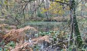 Tocht Stappen Vendôme - Promenade dans la forêt de Vendôme  - Photo 3