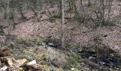 Trail Walking Daverdisse - Daverdisse - Du Gaudru - G1 - Photo 4