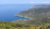 Trail Walking Pino - Randonnée Cap Corse  - Photo 7