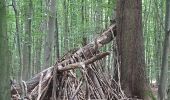 Tocht Stappen Sint-Genesius-Rode - 2020-09-01 - Forêt de Soignes- Rhode Saint Genève  - Photo 6