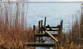 Percorso A piedi Neustadt am Rübenberge - Mardorf Rundwanderweg M2 (Promenadenpfad) - Photo 4