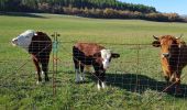 Tour Wandern Val-Buëch-Méouge - Covid 23 - Photo 2