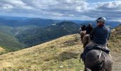 Trail Horseback riding Torla-Ordesa - Parc national d’Ordessa J2 - Photo 7