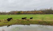 Randonnée Marche Holsbeek - Holsbeek 15 km - Photo 2