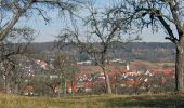 Tocht Te voet Onbekend - DE-SAV Blaues Kreuz, Magstadt - Doggenburg - Photo 3