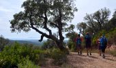 Trail Walking La Londe-les-Maures - SityTrail - Notre Dame des Maures-12-02-21 - Photo 15