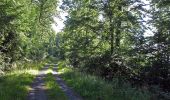 Trail On foot Eltmann - Rundweg Eltmann E 7 - Photo 5