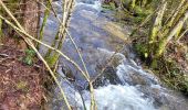 Tocht Stappen Bouillon - Rochehaut 190323 - Photo 9