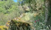 Trail Walking Le Truel - Le Truel -Tarn (Aveyron - France) - Photo 8