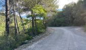 Trail Walking Draguignan - Draguignan Malmont 10 km - Photo 4