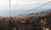 Excursión A pie Funchal (Santa Maria Maior) - Levada do Bom Sucesso - Photo 7