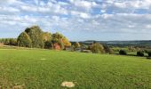 Excursión Senderismo Virton - La Charmouthienne_boucle_Ethe_15km_2019-10-13 - Photo 10
