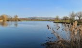 Tour Wandern Moselbrück - Pont A Mousson les étangs depuis le port fluvial - Photo 15