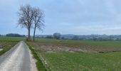 Percorso Marcia Frasnes-lez-Anvaing - Oeudeghien 9,2 km - Photo 12