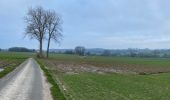 Tour Wandern Frasnes-lez-Anvaing - Oeudeghien 9,2 km - Photo 12