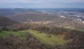 Tour Wandern Chalèze - Chaléze Montfaucon Arcier 2021-01-21  CAF - Photo 5