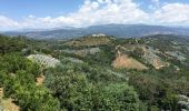 Percorso Bici da strada La Roquette-sur-Siagne - Col du Grand Duc - Photo 1