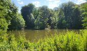 Trail Walking Ciney - Conjoux 300724 - Photo 16