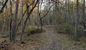 Randonnée Marche Manosque - 1Le tour de la forêt de Pelicier - Photo 1