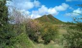 Tour Wandern Sainte-Anne - parcours sportif de Petite Versailles vers le Cap Chevalier   - Photo 1