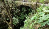 Randonnée Marche Santana - Madère : Caldeirao Verde puis Caldeirao do Inferno - Photo 6