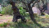 Tour Wandern La Cadière-d'Azur - La Peyguiere - Revers de Bocquié - Le télégraphe - La barbarie - Photo 15