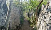 Trail Walking Berrias-et-Casteljau - 2023-01-26_19h31m34_Berrias Païolive 13km.gpx.xml - Photo 3