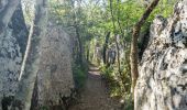 Tour Wandern Berrias-et-Casteljau - 2023-01-26_19h31m34_Berrias Païolive 13km.gpx.xml - Photo 3