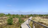 Excursión A pie Spa - Domaine de Bérinzenne et arboterum de Tahanfagne - Photo 1