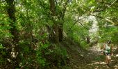 Trail Walking Tinlot - Scry - Photo 1