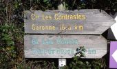 Randonnée A pied Coimères - Les Hounts : boucle locale - Photo 9