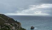 Tocht Stappen Crozon - Cap de la chèvre -Kerroux  - Photo 1