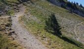 Trail Walking Lans-en-Vercors - les allieres, COL de l arc, et pic ST Michel - Photo 6