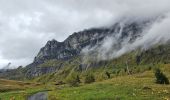 Excursión Senderismo Passy - J27 - R25 - 🍂🍁 Plaine-Joux - Les Ayères  - Lac Vert 🍁🍂
 - Photo 13