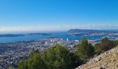 Tour Wandern Toulon - Le Faron centre  - Photo 2