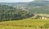 Trail On foot Meursault - Sentier Meursault-Blagny - Photo 3