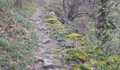 Trail Walking Glun - Glun - Photo 10