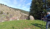 Trail Walking Rouffach - Boenlesgrab - Ried (14.03.2024) - Photo 3