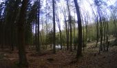 Trail Mountain bike La Roche-en-Ardenne - La_Roche_en_Ardenne_20210430_100431 - Photo 7