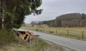 Randonnée A pied Libramont-Chevigny - Promenade à Remagne et ND de Lorette Non balisée - Photo 8