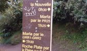 Tour Wandern La Possession - la Nouvelle  Roche Plate  - Photo 13