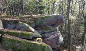 Excursión Senderismo Grendelbruch - Grendelbruch - château de Guirbaden - châtaignes - Photo 1