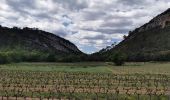 Excursión Senderismo Cabasse - Cabasse - Le Défens - Trou des Fées - Photo 2