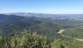 Trail Walking Orcines - Montée au Puy de Dôme par le chemin des Muletiers - Photo 3