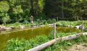 Tocht Stappen Gresse-en-Vercors - Col de l'Allimas - Photo 4