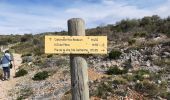 Trail Walking Baixas - baixas chapelle ste catherine - Photo 17