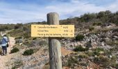 Tocht Stappen Baixas - baixas chapelle ste catherine - Photo 17