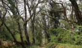 Tour Wandern Loubressac - Loubressac-Château des Anglais - Photo 1